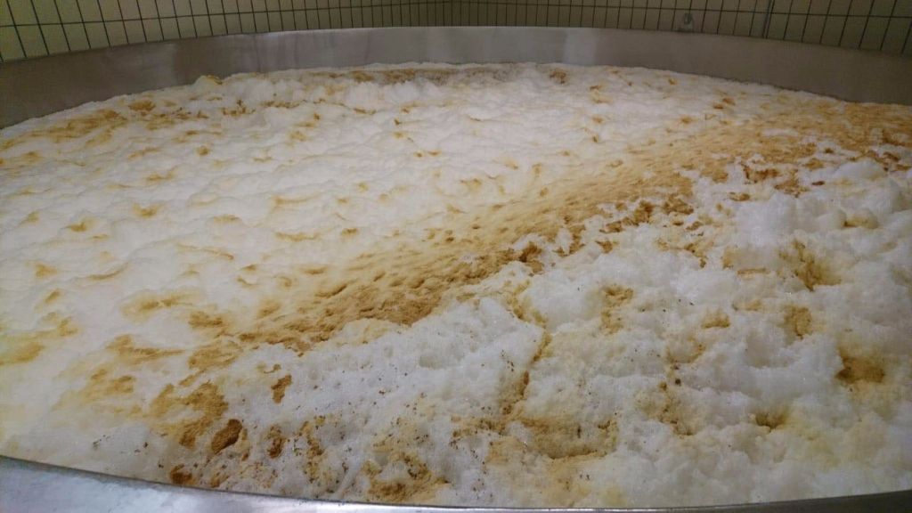 發酵啤酒可以不使用啤酒酵母嗎？