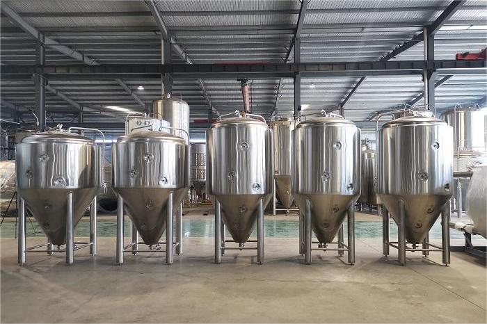 主發酵過程中有哪些關鍵要素？