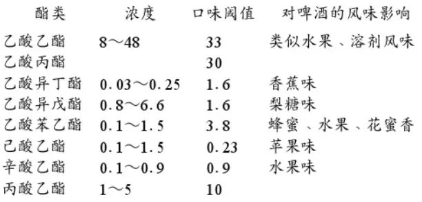 精釀啤酒設(shè)備,啤酒廠設(shè)備,開辦啤酒廠,發(fā)酵，錐形罐